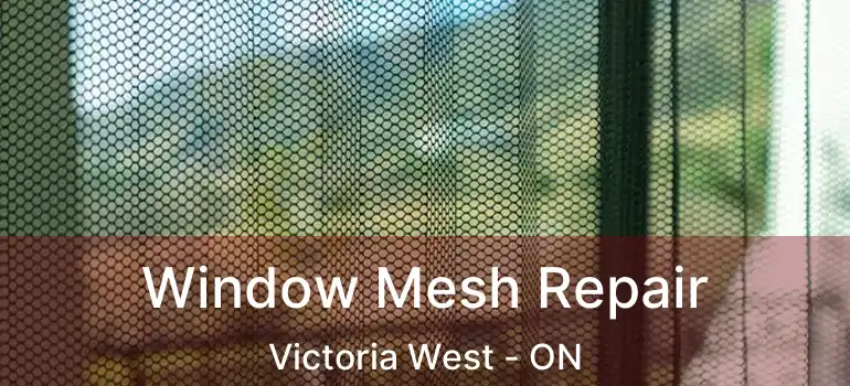  Window Mesh Repair Victoria West - ON