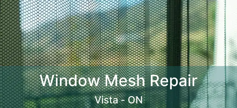  Window Mesh Repair Vista - ON