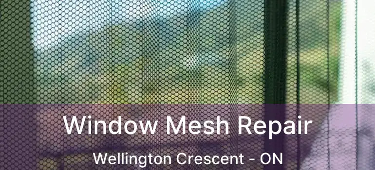  Window Mesh Repair Wellington Crescent - ON