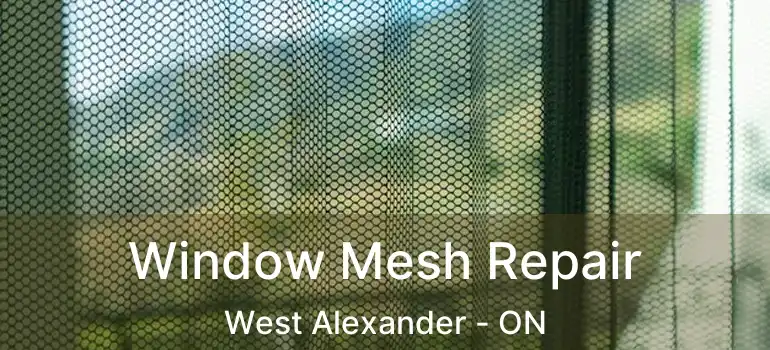  Window Mesh Repair West Alexander - ON