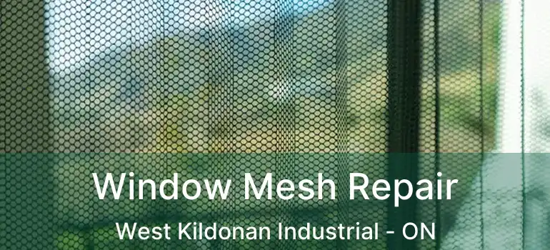  Window Mesh Repair West Kildonan Industrial - ON