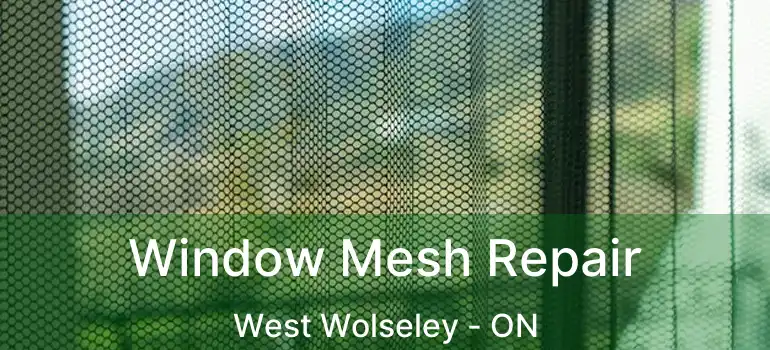  Window Mesh Repair West Wolseley - ON