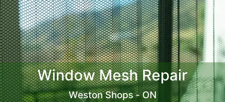  Window Mesh Repair Weston Shops - ON