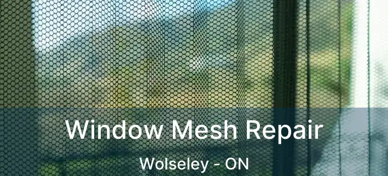  Window Mesh Repair Wolseley - ON