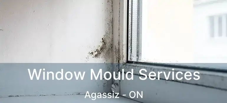  Window Mould Services Agassiz - ON