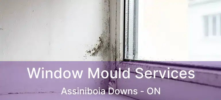  Window Mould Services Assiniboia Downs - ON