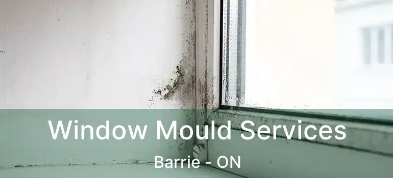  Window Mould Services Barrie - ON