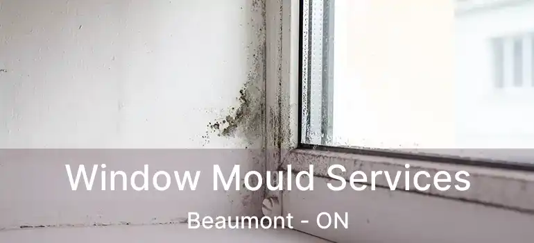  Window Mould Services Beaumont - ON