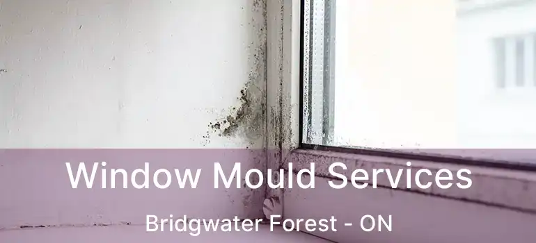  Window Mould Services Bridgwater Forest - ON