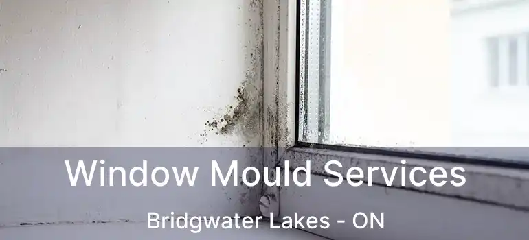  Window Mould Services Bridgwater Lakes - ON
