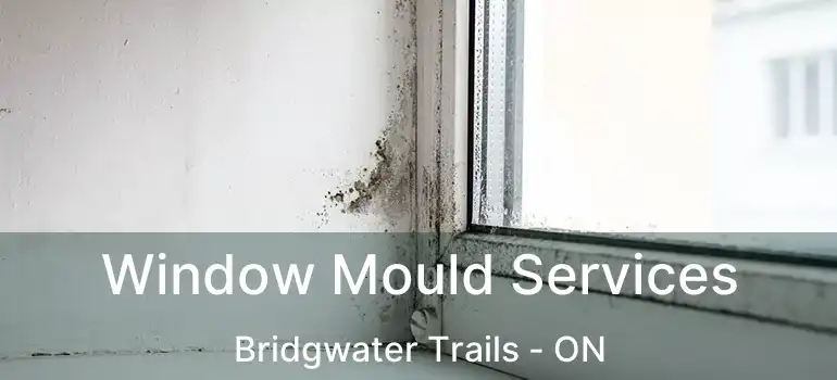  Window Mould Services Bridgwater Trails - ON