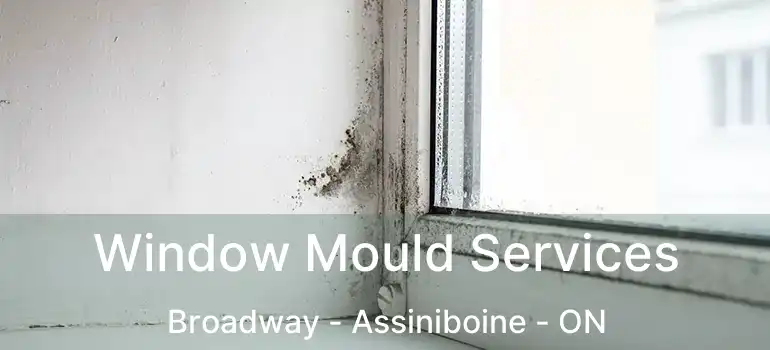  Window Mould Services Broadway - Assiniboine - ON