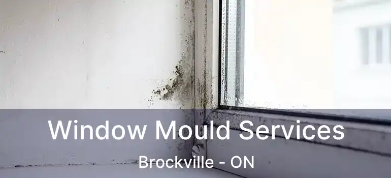  Window Mould Services Brockville - ON