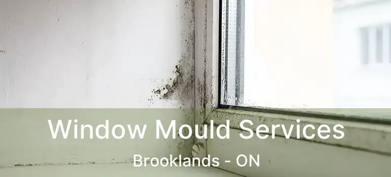  Window Mould Services Brooklands - ON