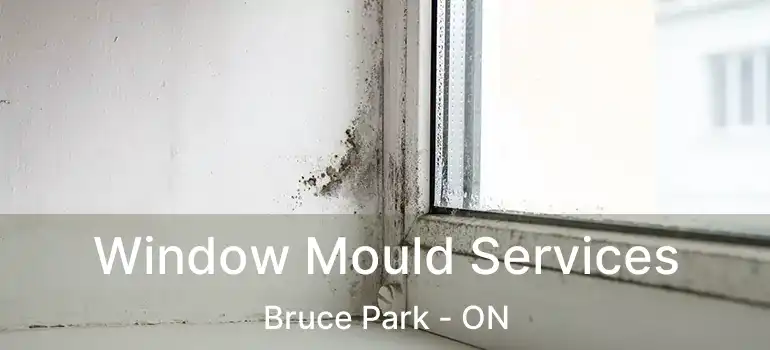  Window Mould Services Bruce Park - ON