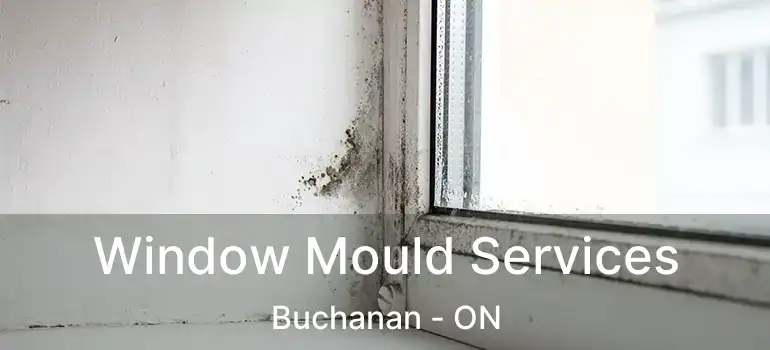  Window Mould Services Buchanan - ON