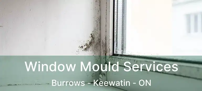  Window Mould Services Burrows - Keewatin - ON