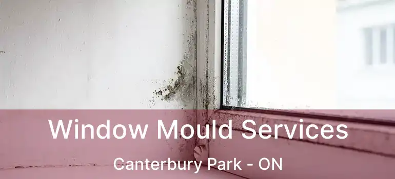  Window Mould Services Canterbury Park - ON