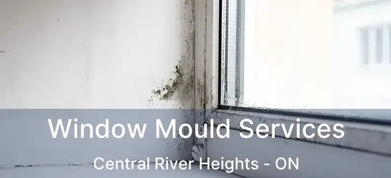  Window Mould Services Central River Heights - ON