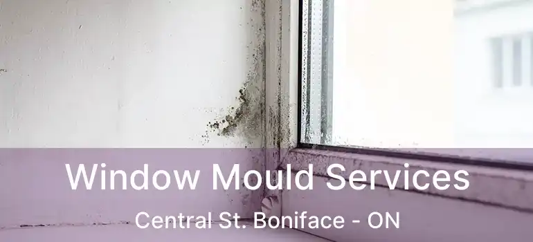  Window Mould Services Central St. Boniface - ON