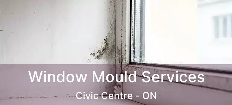  Window Mould Services Civic Centre - ON