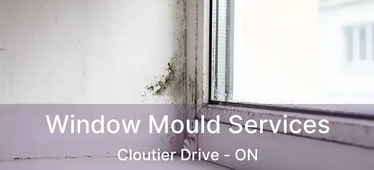  Window Mould Services Cloutier Drive - ON