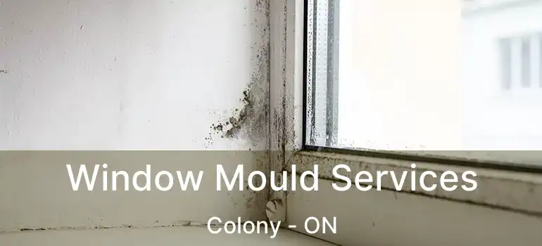  Window Mould Services Colony - ON