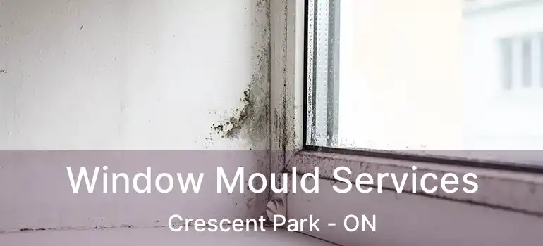  Window Mould Services Crescent Park - ON