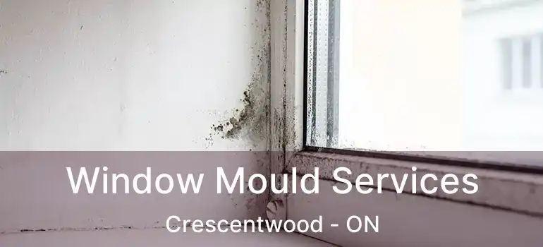  Window Mould Services Crescentwood - ON