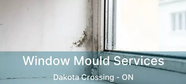  Window Mould Services Dakota Crossing - ON