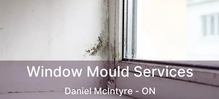  Window Mould Services Daniel McIntyre - ON