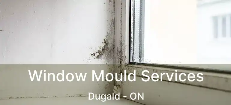  Window Mould Services Dugald - ON