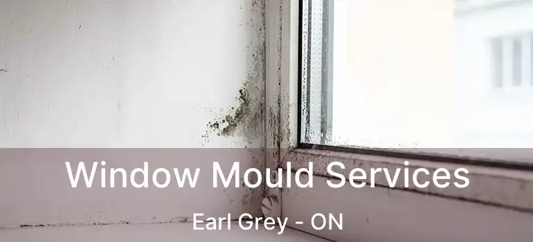  Window Mould Services Earl Grey - ON