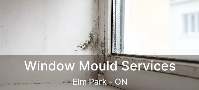  Window Mould Services Elm Park - ON