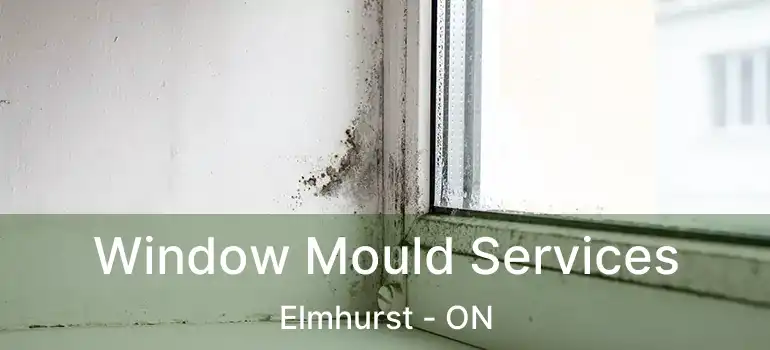  Window Mould Services Elmhurst - ON