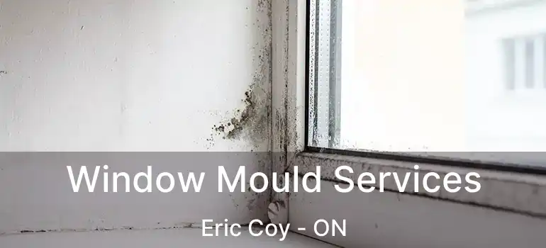  Window Mould Services Eric Coy - ON