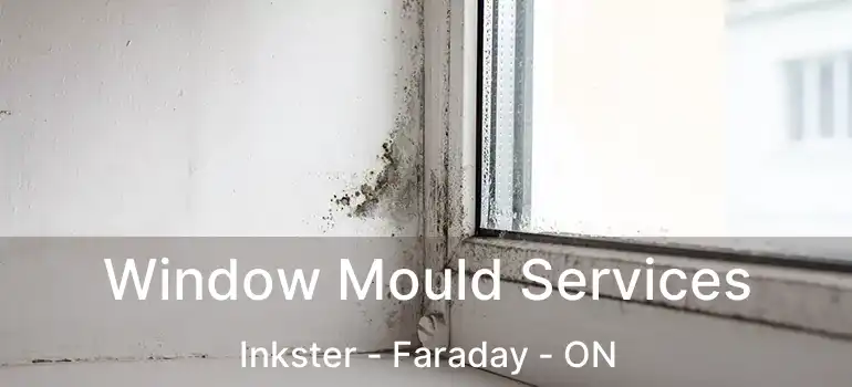  Window Mould Services Inkster - Faraday - ON