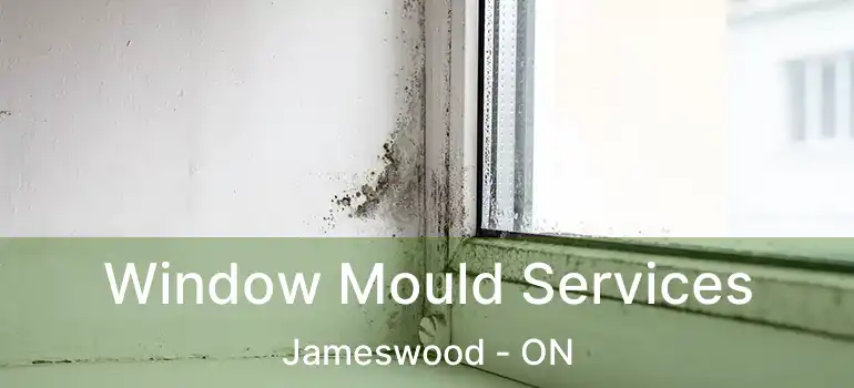  Window Mould Services Jameswood - ON