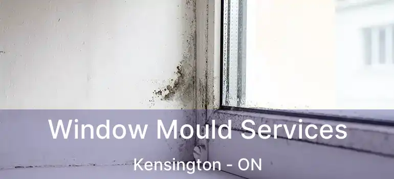  Window Mould Services Kensington - ON