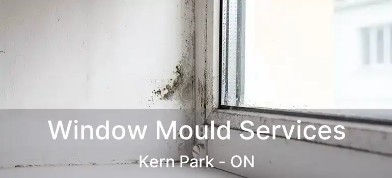  Window Mould Services Kern Park - ON