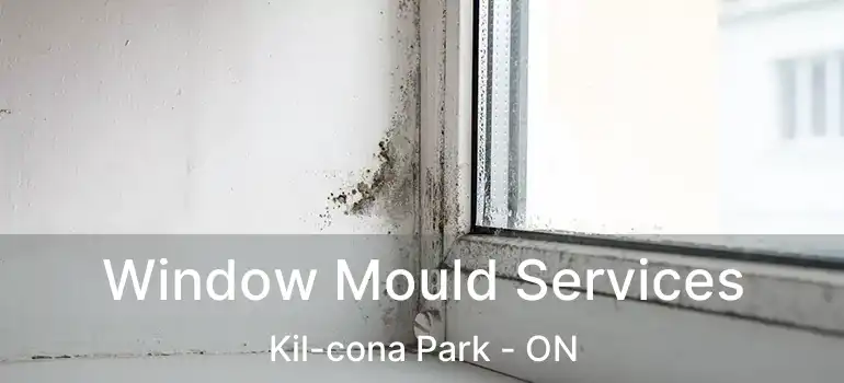  Window Mould Services Kil-cona Park - ON