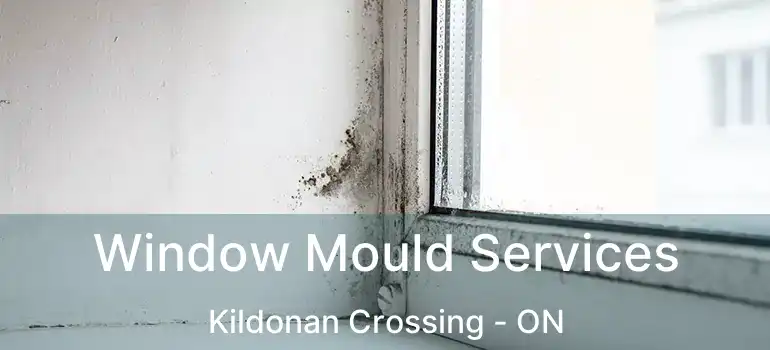  Window Mould Services Kildonan Crossing - ON