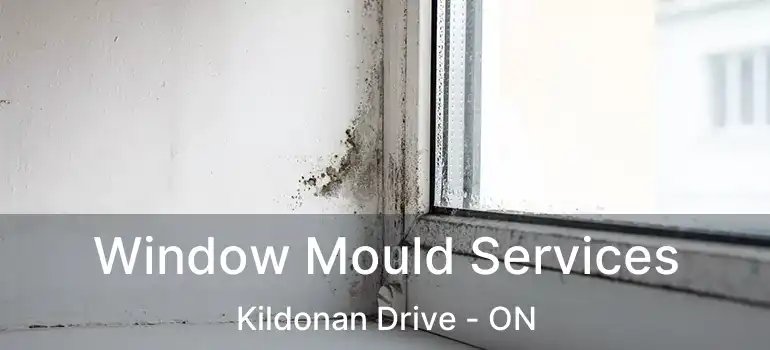  Window Mould Services Kildonan Drive - ON