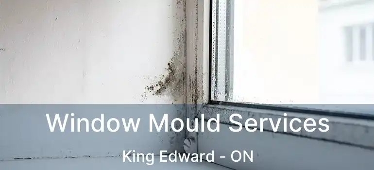  Window Mould Services King Edward - ON