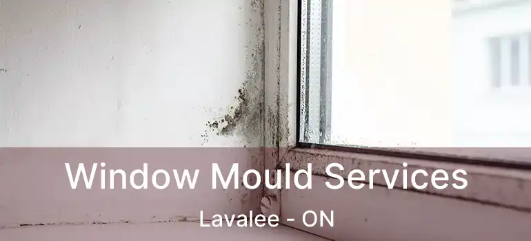  Window Mould Services Lavalee - ON