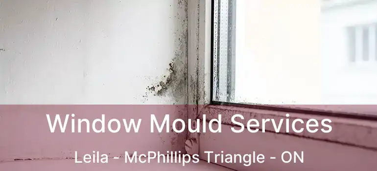  Window Mould Services Leila - McPhillips Triangle - ON
