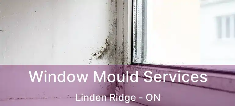  Window Mould Services Linden Ridge - ON