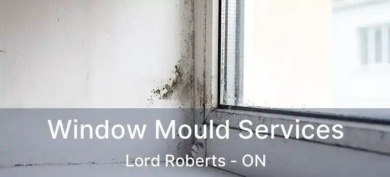  Window Mould Services Lord Roberts - ON