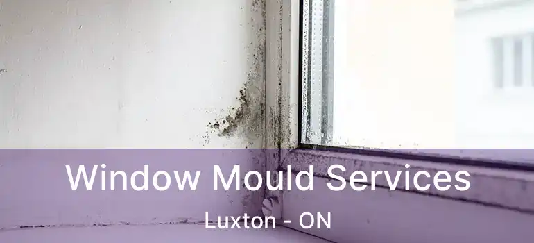  Window Mould Services Luxton - ON