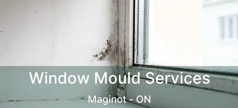 Window Mould Services Maginot - ON